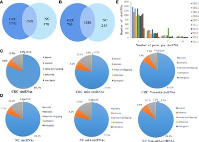 Comprehensive analysis of m6A circRNAs identified in colorectal cancer by MeRIP sequencing